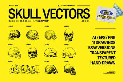 Skull Vector Drawings ai anatomy bones branding design drawing drawings eps graphic design hand drawing hand drawn human illustration illustrator line logo png skull transparent vector
