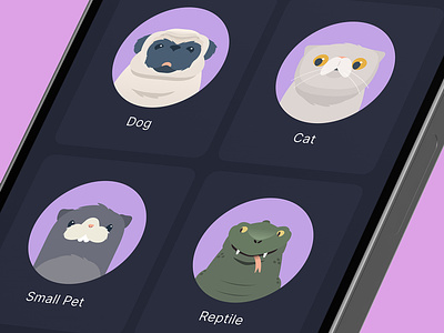 Pet Profile Illustrations animals avatar branding cartoon cat cute dog ferret icon illustration mobile mobile app reptile ui uiux
