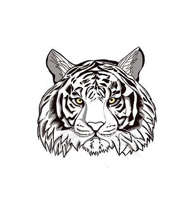 Asian white tiger animation