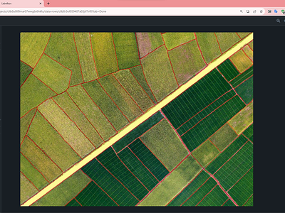 Accurate Masking within Designated Land Areas data annotation data labeling labelbox labelbox expert segmentation