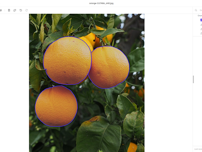 Orange Grove Annotation Using Kili Technology annotation data annotation data labeling itsmeshohan kili technology polygon