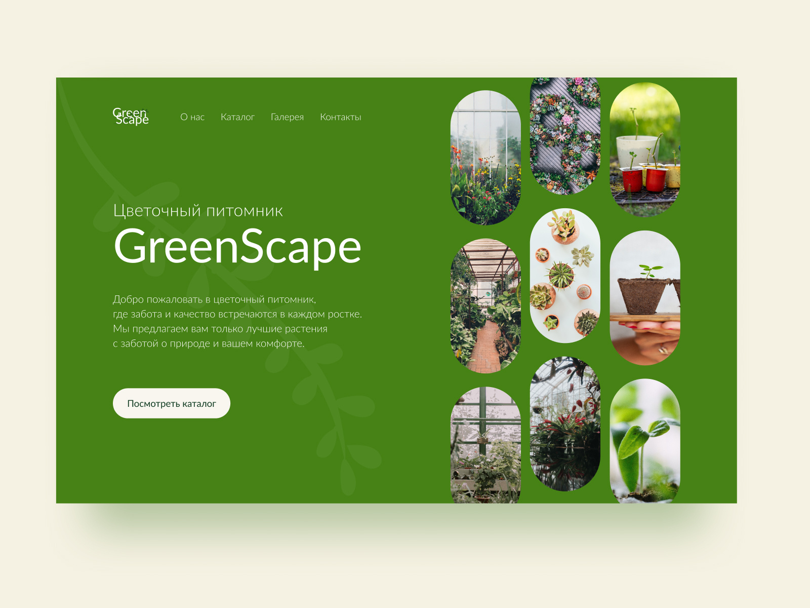 Flower nursery design concept by Elena Belianina on Dribbble