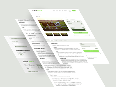 Investment website design- Details page app design details page investment ui ui design ux web web design