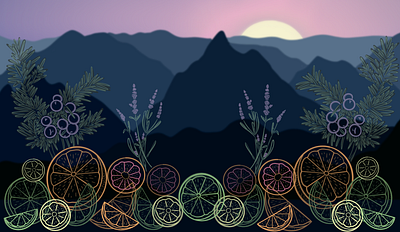 Gin Label #2 australia blue mountains branding design digital drawing digital painting food art graphic art graphic design illustration logo mountain range summer fruits sunset