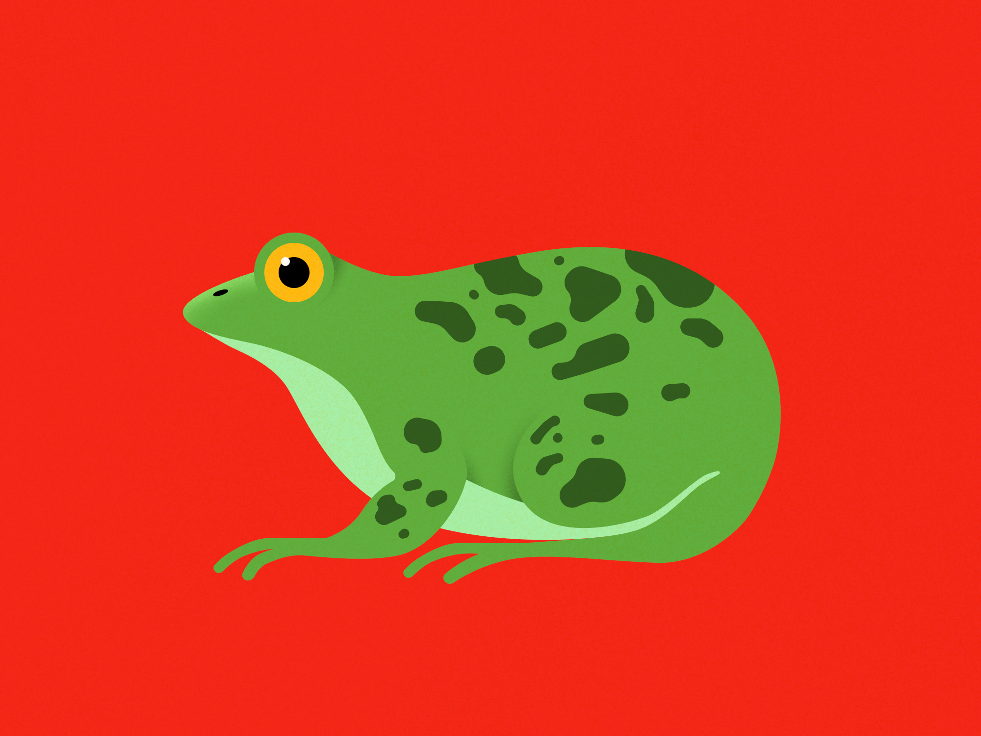 Toad brightness flat illustration frog illustration illustrator inktober inktober2023 toad vectober vectober2023
