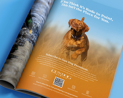 Gun Dog Magazine New Product Launch advertising branding copy writing graphic design print ad