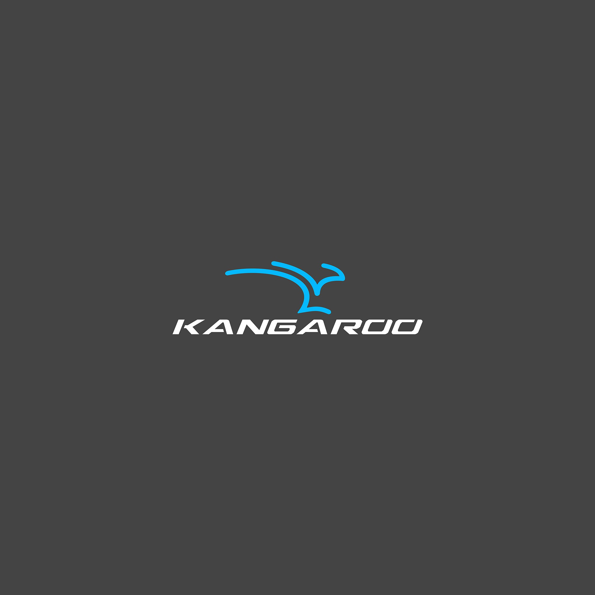 Kangaroo branding graphic design logo