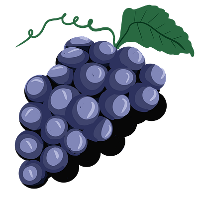 Grapes art clip art draw graphic design illustration