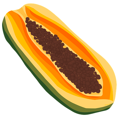 Papaya art clip art draw illustration