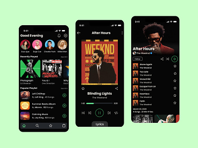 Rhythmic - Music App branding graphic design ui