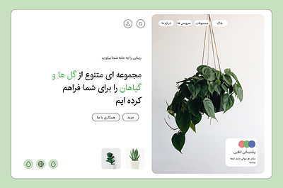 plant shop landing page 3d animation branding graphic design logo motion graphics ui ux web