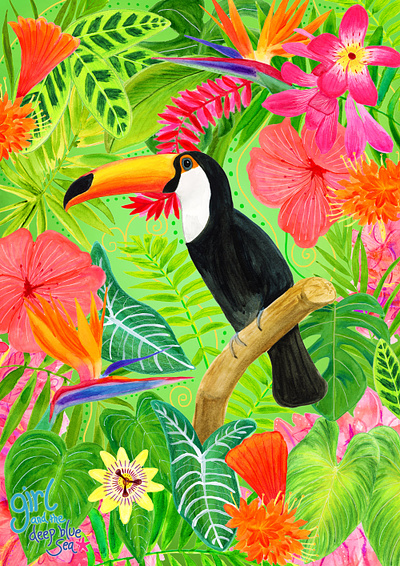 Toco Toucan illustration nature illustration tropical watercolour