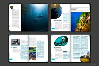 Company document, but interesting affinity publisher book design book layout company document company report editorial design formatting graphic design non profit typesetting