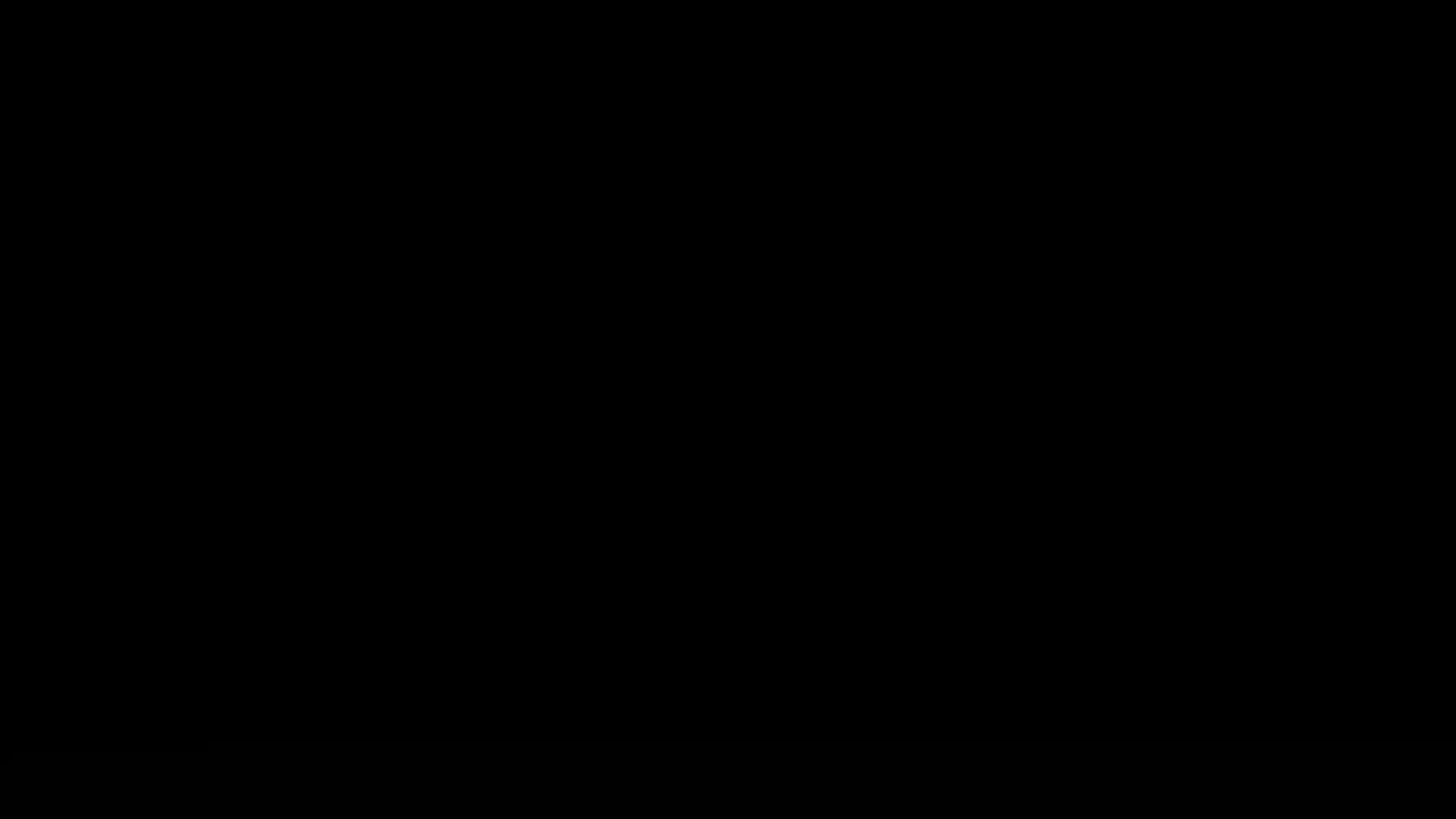 Example of Logo Animation