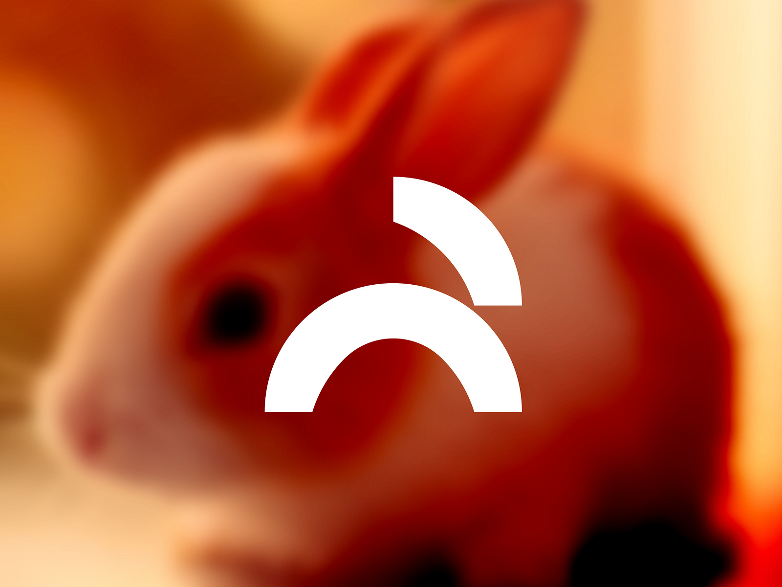 minimalist rabbit logo by MD Faysal on Dribbble
