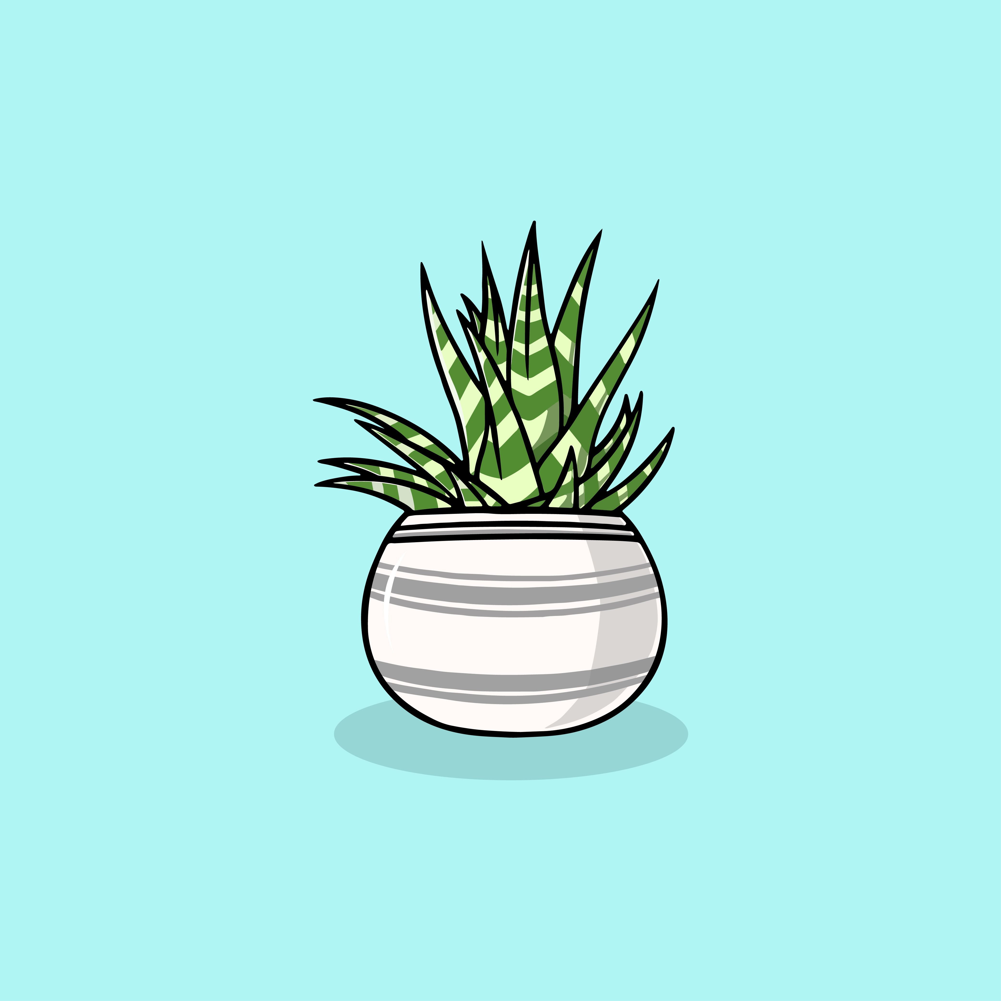 Beautiful Sansevieria cartoon illustration branding natural