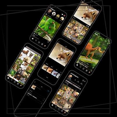 Animal Instagram design figma ui ux
