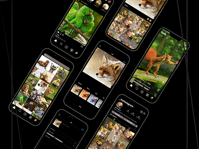 Animal Instagram design figma ui ux