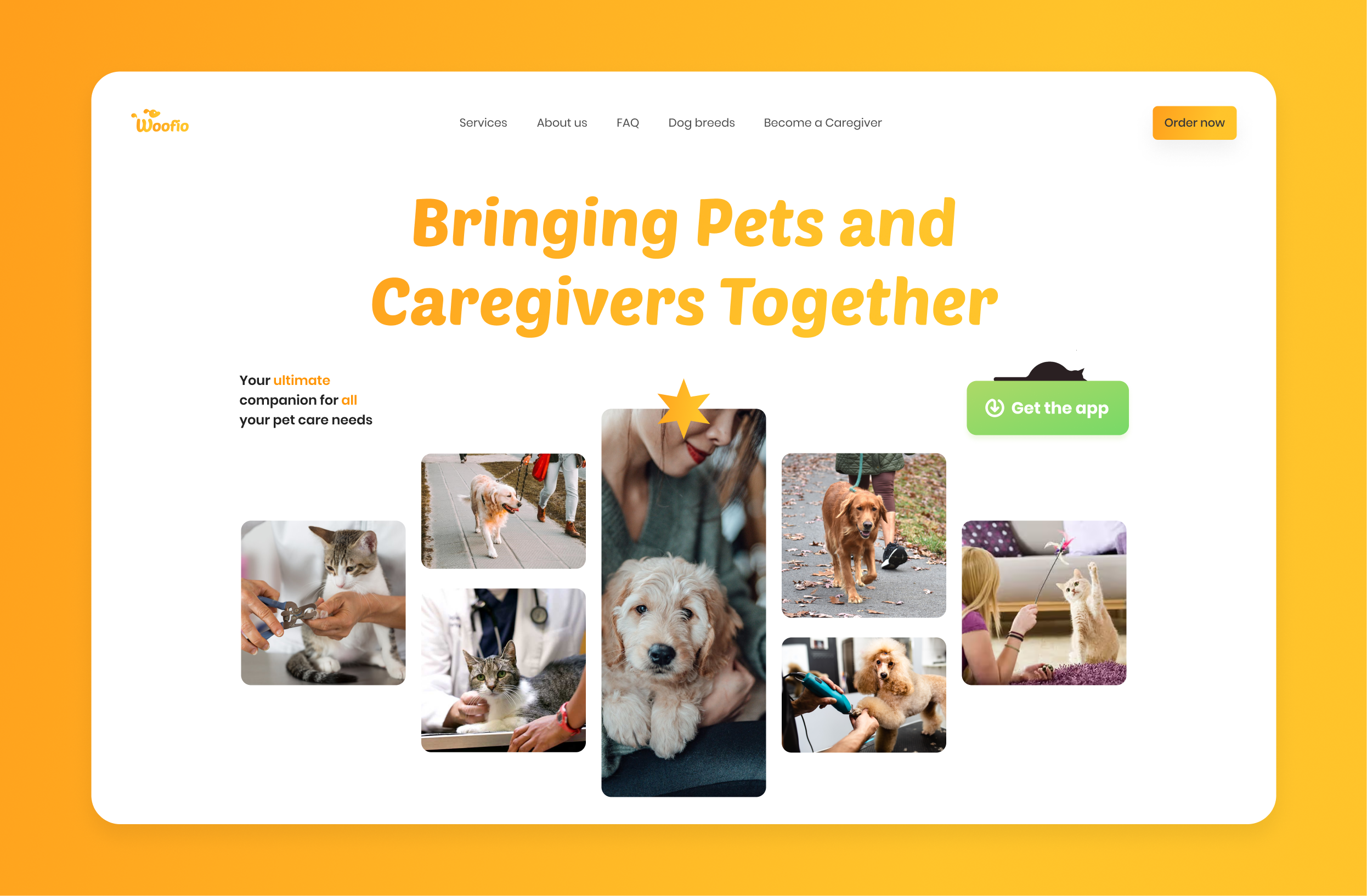 Woofio web design cat cool dog dog walking grooming landing modern pet services service ui vet web web design website