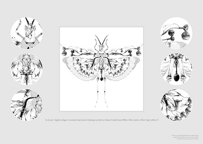 No locust art collage composition drawing illustration pencil