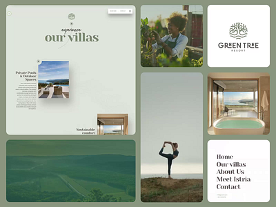 Green Tree Resort Website branding design logo ui ux uxui web design website