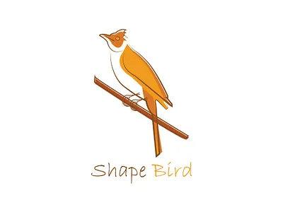 Shape Bird branding graphic design logo