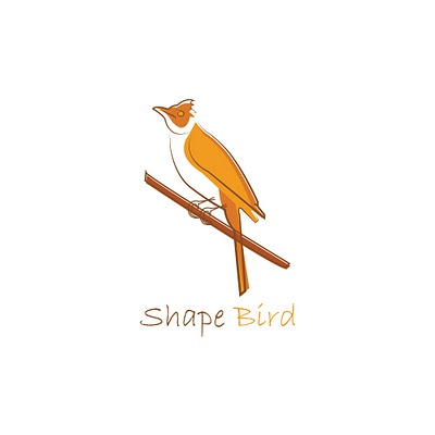 Shape Bird branding graphic design logo