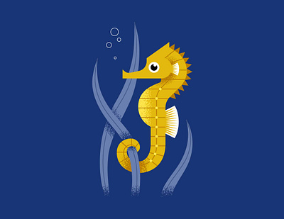 Seahorse fish horse illustration life sea seahorse underwater vector water