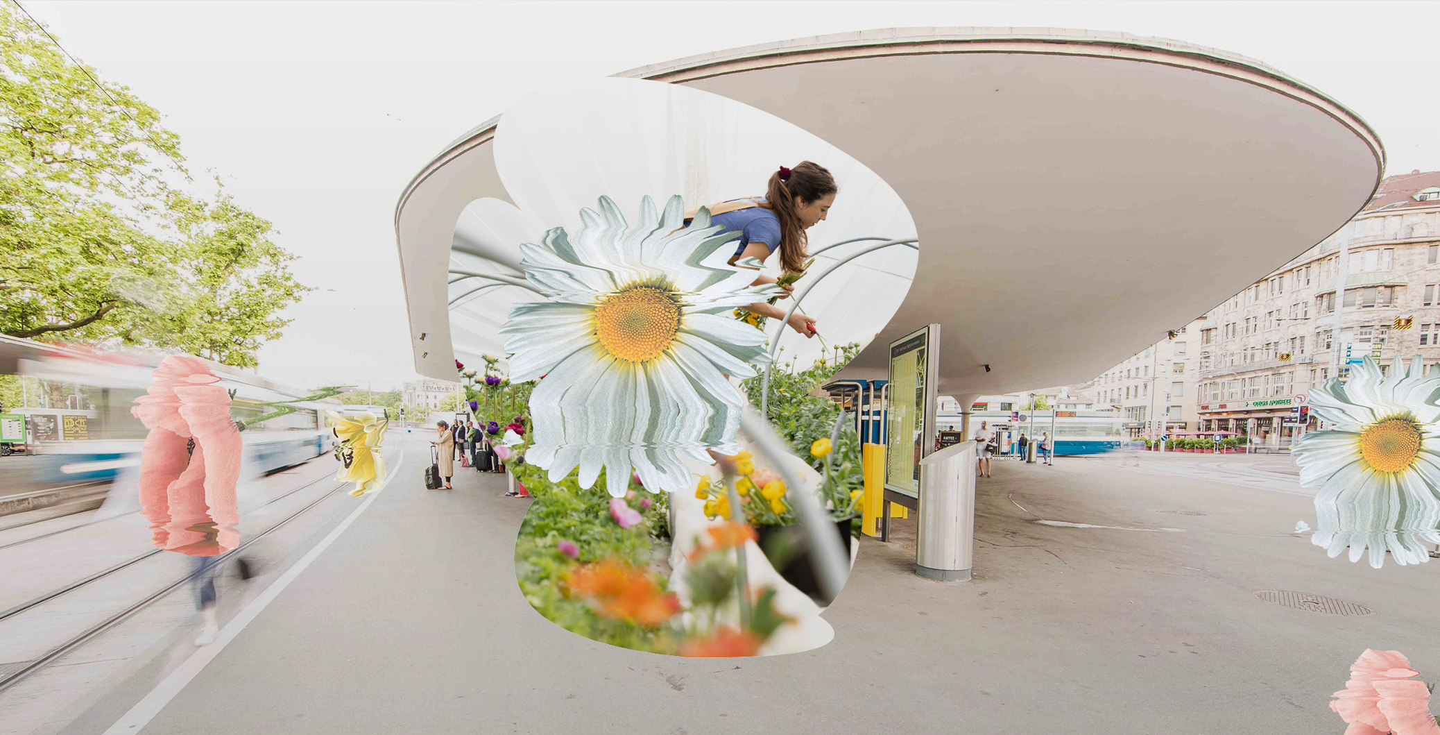 Vuebelle branding colors corporate design digital branding graphic design logo meadow sustainability typography ui ux