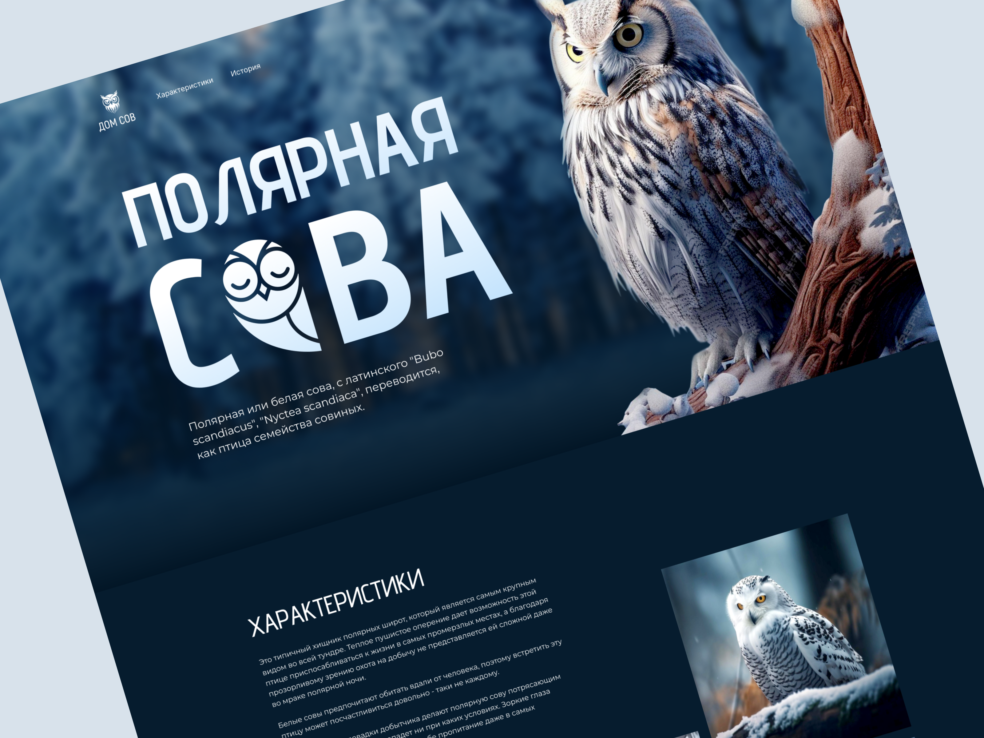 Landing page design landing ui ui design ux website