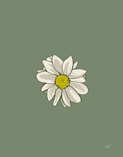 Daisy daisy design floral flower illustration