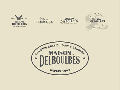 Maison Delboulbès - Logo branding graphic design logo logotype