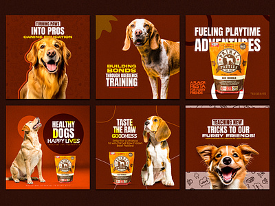 Pet Food Banner | Dogs Food Post | Social Media Post ads banner design branding design efaysal food banner graphic design graphicdesign illustration logo motion graphics pet post design social media ui web banner