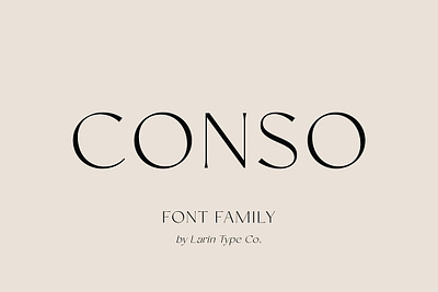 Conso Font Family advertising contrast font elegant sans flyer logo font logotype font magazine font poster font sans serif font title font web banner web font webinar slide deck