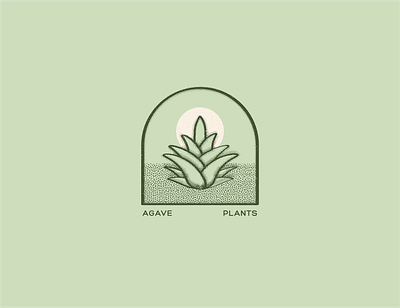 Agave Plants branding graphic design logo logo design plant logo vintage logo
