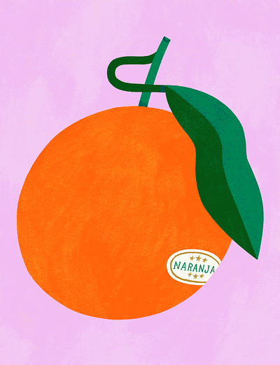 Orange colourful digital art food fresh fruit illustration lilac orange procreate summer