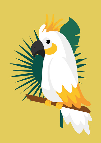 Bird Design with illustrator animation bird branding graphic design illustrator ui