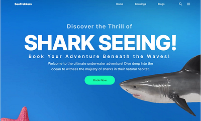 3D Adventure Website - SeaTrekkers 3d 3d website adobe photoshop adventure animation design figma landing page ui ui design uiux user interface web design website