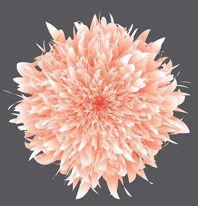 Flower Design in Illustrator 3d adobe design graphic design illustration motion graphics vector