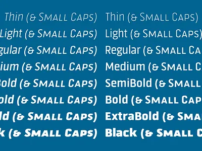 Fortuita weights branding design font new font new fonts sans serif small caps type design typedesign typography