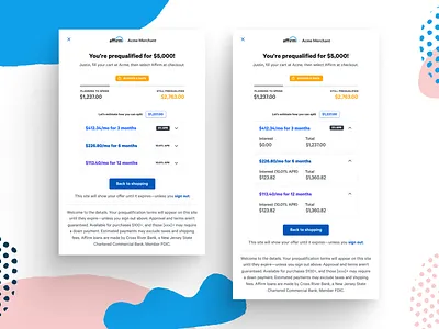 Spending Power BNPL bnpl fintech payments