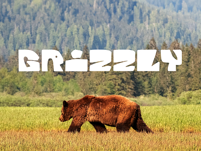 Grizzly font lettering type typography