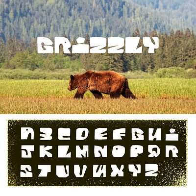 Grizzly font lettering type typography