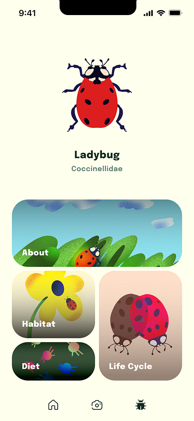 Bug UI bug bugs design illustration ladybug procreate ui ui design