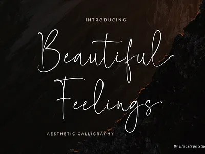 Beautiful Feelings - Aesthetic Font branding calligraphy design font design fonts free font graphic design handwriting illustration logo signature type typeface typography ui