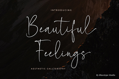Browse thousands of Aesthetic Font images for design inspiration | Dribbble