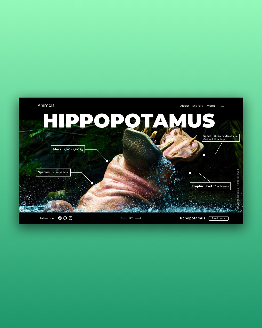 Animols. animalencounter branding design dribbble figma forestadventure graphic design intothewild logo natureinspired naturereserve parkexperiences ui uidesign webdesign wildlifeconservation wildlifephotography zoodesign zookeepers zoolife
