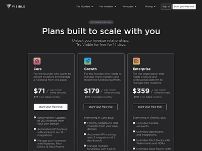 Visible Founder Pricing branding design pricing website website design