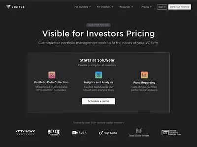 Visible Investor Pricing branding design pricing website website design