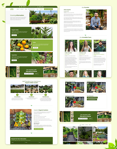 Hamse Home Website Design fruits greeen green mango vegetables website